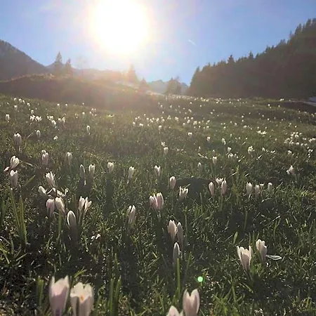 Dachsteinblick Hotel apartamentowy 4*
