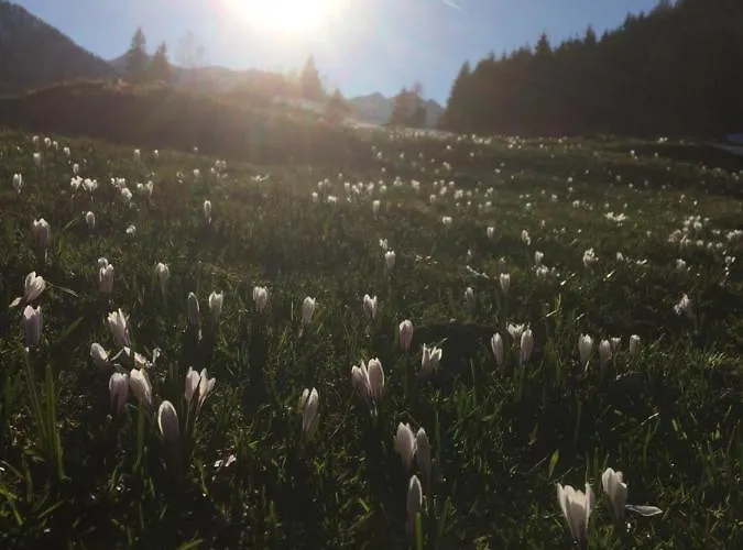 Dachsteinblick Schladming